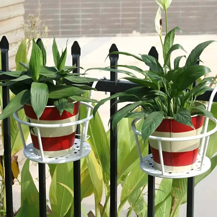 1+1 Free |  Space-Saving Botanical Haven - Image 3
