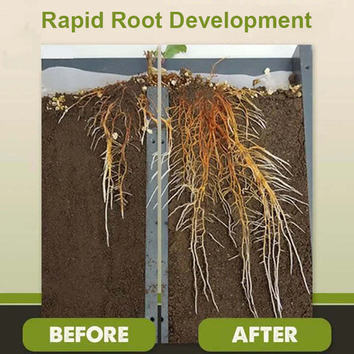 2+1 Free | Faster Plant Recovery - Image 10