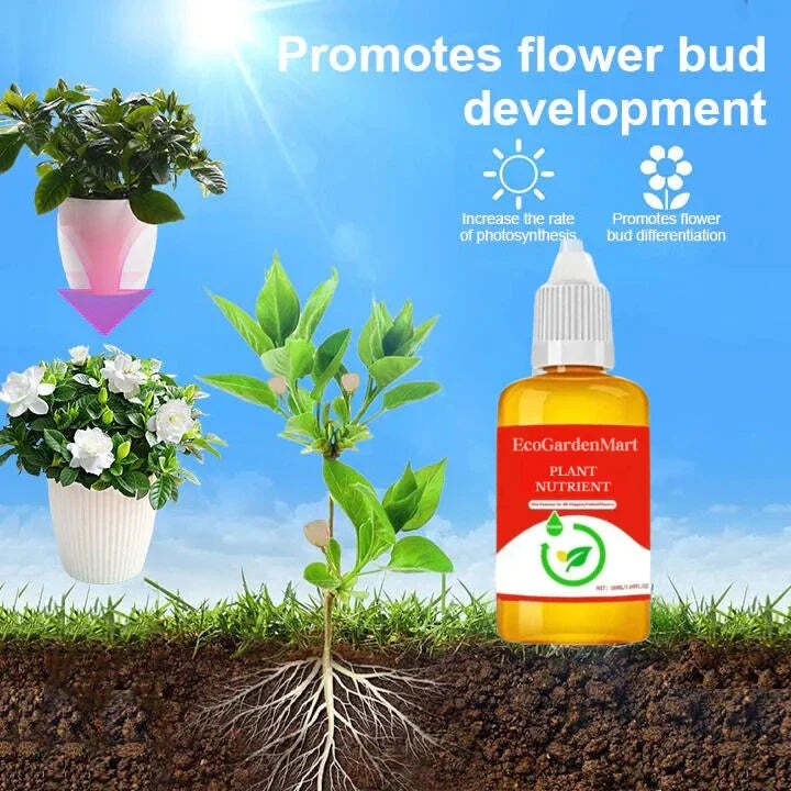 2+1 Free | Faster Plant Recovery - Image 6