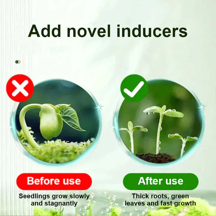 2+1 Free | Faster Plant Recovery - Image 9