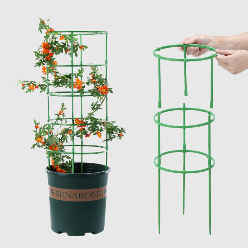 Growth Support System - Image 8